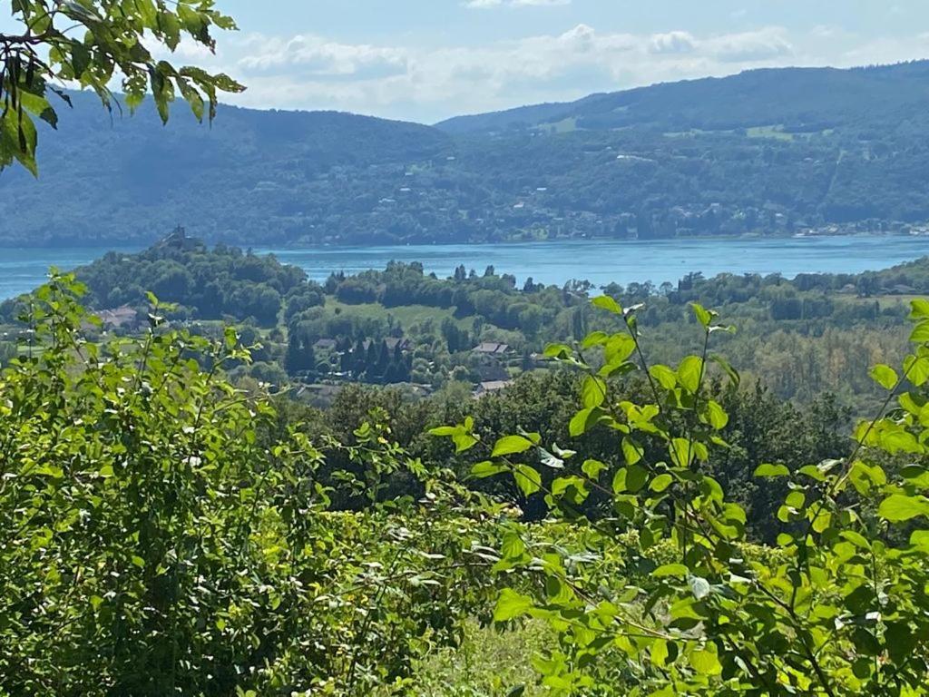 Du Vent Dans Les Arbres -120M2 Belle Vue Sur Le Lac Chindrieux Exterior photo